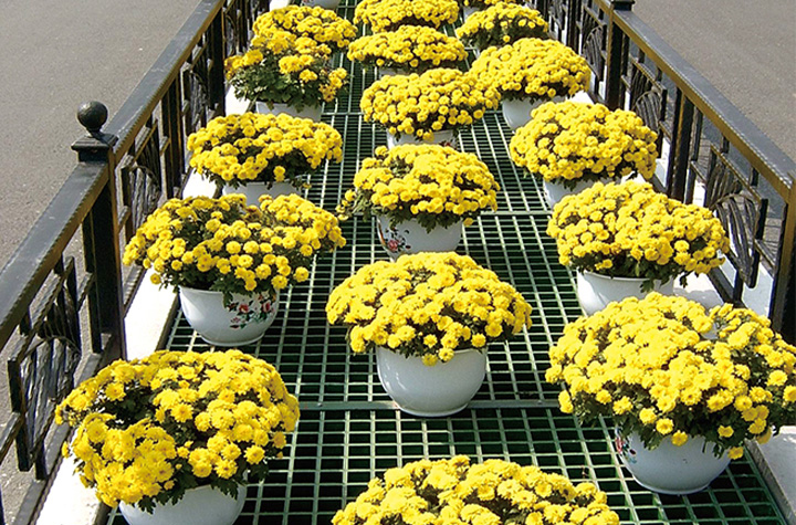 Instalaciones municipales